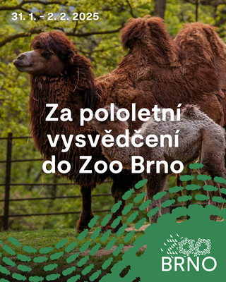 Za pololetní vysvědčení do Zoo Brno